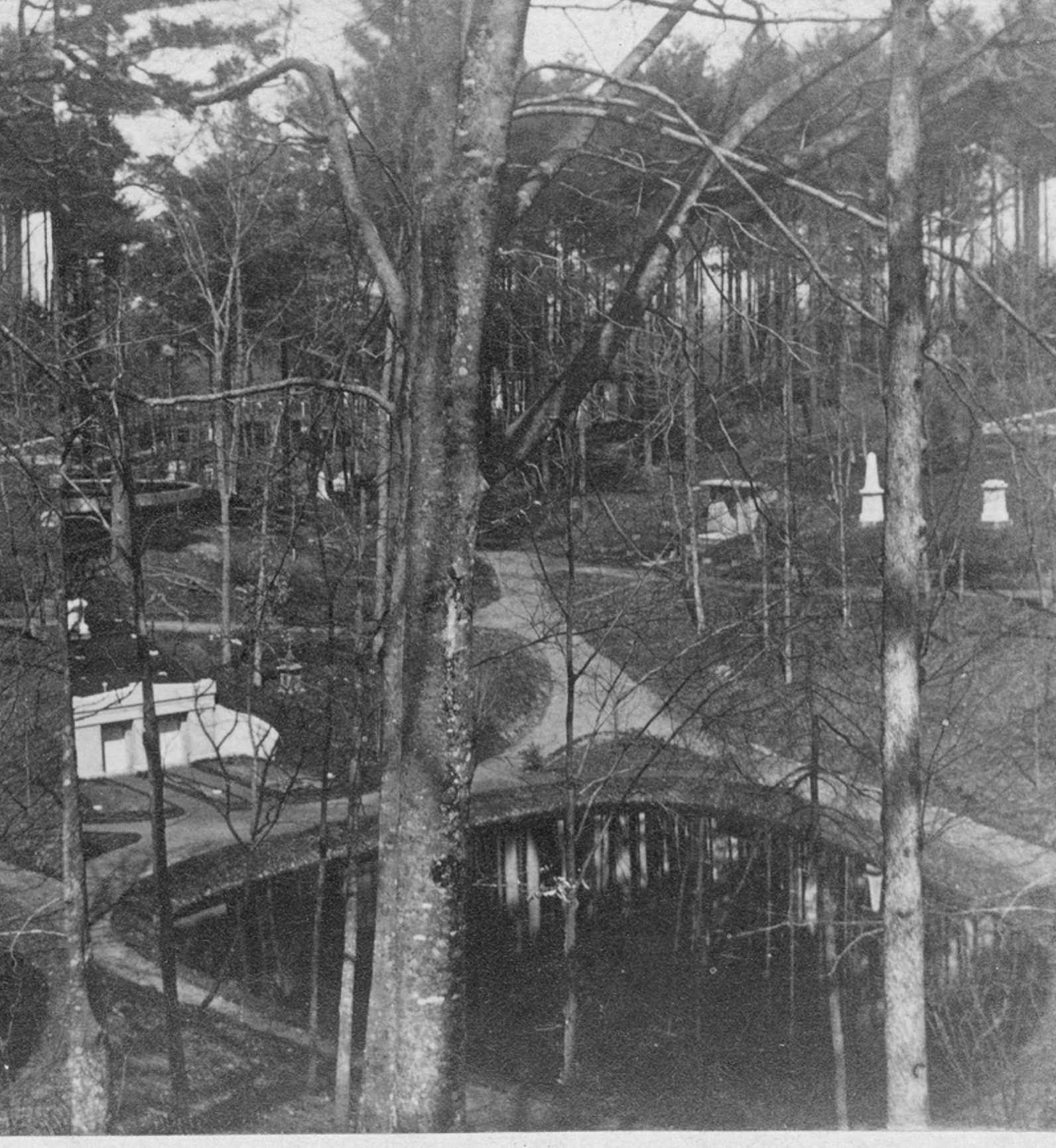 A black and white photograph of a forest with a vernal pool at the bottom of a hill.